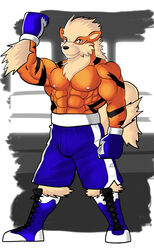  abs anthro anthrofied arcanine biceps big_muscles biped black_body black_fur black_nose boots bottomwear brown_body brown_fur canid canine clothed clothing flexing footwear fur generation_1_pokemon gloves grey_eyes handwear hi_res hunter-husky looking_at_viewer male mammal muscular muscular_anthro muscular_male nintendo nipples pecs pokemon pokemon_(species) pokemorph shorts smile solo sport standing stripes topless white_body white_fur 