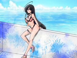  ahoge bikini black_hair blue_sky breasts brown_eyes cleavage cloud day female frilled_bikini frills full_body highres horizon kantai_collection long_hair looking_at_viewer low-tied_long_hair medium_breasts ocean outdoors pink_bikini railing shouhou-san_daisuki_teitoku shouhou_(kancolle) sky solo swimsuit toeless_footwear 