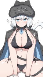  absurdres animal_ears azuki_(ne_4zk) bikini black_bikini black_hat black_jacket blue_eyes blush bracelet breasts cat_ears cat_girl cat_tail cleavage detached_collar dobrynya_nikitich_(fate) dobrynya_nikitich_(swimsuit_lancer)_(fate) fate/grand_order fate_(series) female fur-trimmed_headwear fur_trim hat highres jacket jacket_on_shoulders jewelry large_breasts long_hair looking_at_viewer navel necktie sitting smile solo sparkle swimsuit tail thighs white_hair 