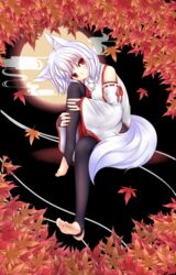  :3 absurdres animal_ears autumn_leaves banned_artist bare_shoulders black_legwear black_skirt breasts commentary_request detached_sleeves feet full_moon highres inubashiri_momiji leaf looking_at_viewer medium_breasts medium_skirt moon multicolored multicolored_clothes multicolored_skirt oohirakeisuke pom_pom_(clothes) red_eyes red_skirt ribbon-trimmed_sleeves ribbon_trim shirt short_hair silver_hair sitting skirt sleeveless sleeveless_shirt soles solo stirrup_legwear tail thighhighs toeless_legwear touhou turtleneck white_shirt wide_sleeves wolf_ears wolf_girl wolf_tail 