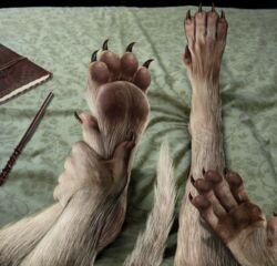  2014 5_fingers 5_toes absurd_res ambiguous_gender anthro arctic_wolf asymmetrical_transformation bed book canid canine canis claws detailed detailed_background digitigrade feet finger_claws fingers first_person_view foot_focus foot_grab foot_shot foot_transformation fur fur_growth furniture growth handpaw hi_res human_to_feral magic_wand mammal mythological_canine mythological_creature mythology nails on_bed pawpads paws realistic sitting sitting_on_bed solo species_transformation tail tail_growth toe_claws toes transformation transformation_pov wand were werecanid werecanine werewolf white_body white_fur white_tail whiteflamek wolf 