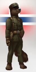  2018 anthro bag belt blue_eyes blue_nose brown_body brown_fur canid canine canis clothing domestic_dog eyebrows flag flag_background fluffy fluffy_tail fur gloves gradient_background handwear hat headgear headwear hi_res looking_up male mammal military military_cap military_clothing military_pants military_uniform norway norwegian_flag simple_background solo tail thepimpartist traditional_media_(artwork) uniform world_war_2 