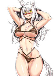  ahoge animal_ears armpits arms_up bikini biwa_hayahide_(umamusume) black_bikini breasts commentary_request cowboy_shot criss-cross_halter female glasses grey_hair halterneck highres horse_ears horse_girl horse_tail large_breasts looking_at_viewer minew navel red-framed_eyewear semi-rimless_eyewear simple_background smile solo stomach swimsuit tail umamusume white_background yellow_eyes 