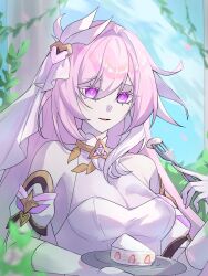  absurdres blue_sky breasts cake cake_slice commentary corset diamond-shaped_pupils diamond_(shape) elysia_(herrscher_of_human:_ego)_(honkai_impact) elysia_(honkai_impact) english_commentary female food fork gloves highres holding holding_fork holding_plate honkai_(series) honkai_impact_3rd large_breasts long_hair mmaayyooccaatt parted_lips pink_hair plate purple_hair see-through_cleavage see-through_clothes sky solo symbol-shaped_pupils triquetra upper_body veil very_long_hair white_corset white_gloves white_veil 