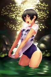  :d backlighting bad_id bad_pixiv_id black_hair blue_one-piece_swimsuit breasts collarbone competition_school_swimsuit contrapposto dripping female hair_between_eyes highres leaf looking_at_viewer one-piece_swimsuit one-piece_tan oohara_kyuutarou open_mouth original red_eyes rock school_swimsuit see-through shirt short_hair short_sleeves sidelocks small_breasts smile solo standing swimsuit swimsuit_under_clothes tan tanlines wading water wet wet_clothes wet_shirt 