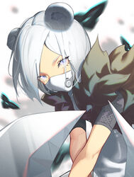  animal_ears arknights blue_eyes chrix eyes_visible_through_hair female fur_collar looking_at_viewer mask ninja official_alternate_costume shirayuki_(arknights) shirayuki_(wind_of_breaking_blade)_(arknights) short_hair shuriken solo stoat_girl weapon weasel_ears white_hair 