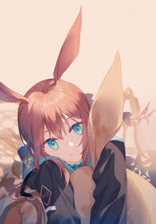  absurdres amiya_(arknights) animal_ears arknights black_jacket black_pantyhose blue_eyes blue_footwear brown_hair check_commentary choshanland_plushy_(arknights) closed_mouth commentary_request ears_up eyebrows female flower hair_over_shoulder happy head_tilt highres hug hugging_object idass_(idass16) infection_monitor_(arknights) jacket long_hair long_sleeves lying on_stomach outdoors pantyhose plant rabbit_ears shoes simple_background smile solo stuffed_animal stuffed_rabbit stuffed_toy 