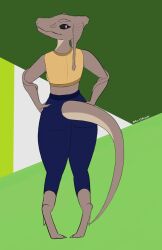  anthro ass bottomwear clothing female looking_at_viewer looking_back mr.chair pants smile solo tail valbaran yoga_pants 