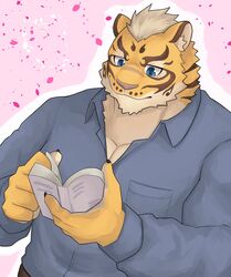  anthro bbrt534 book clothed clothing countershading felid hi_res lin_hu male mammal muscular muscular_anthro muscular_male nekojishi pantherine pink_background reading reading_book shirt simple_background solo studio_klondike tiger topwear 