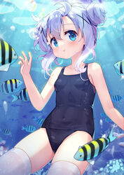  :t blue_eyes blue_hair blue_one-piece_swimsuit blush breasts closed_mouth collarbone commentary_request covered_navel damselfish double_bun female fish gochuumon_wa_usagi_desu_ka? hair_between_eyes hair_bun hair_ornament hairclip hand_up highres kafuu_chino one-piece_swimsuit partial_commentary school_swimsuit sergeant_(fish) short_hair small_breasts solo swimsuit taku_michi thighhighs underwater white_thighhighs x_hair_ornament 