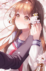  1boy :s blue_sailor_collar blunt_bangs blush brown_eyes brown_hair cherry_blossoms closed_mouth collarbone commentary_request female flower hair_flower hair_ornament hand_grab hand_on_hand highres holding_hands long_sleeves mole mole_under_eye neckerchief nose_blush original out_of_frame outdoors petals photoshop_(medium) red_neckerchief sailor_collar school_uniform serafuku shirt sleeve_cuffs solo_focus spring_(season) surprised sweat unjem white_flower white_shirt wide-eyed 