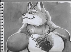  absurd_res anthro barazoku body_hair canid canine canis chest_hair collar diederich_olsen hi_res knights_college male mammal monochrome multicolored_body muscular muscular_anthro muscular_male pinumontbalou smile smiling_at_viewer solo traditional_media_(artwork) two_tone_body wolf 