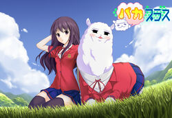  adjusting_hair alpaca artist_request black_hair black_legwear brown_eyes character_request cloud copyright_name female game_cg grass long_hair looking_at_viewer paca_plus pacoproject pleated_skirt purple_hair school_uniform short_sleeves sitting skirt tsukasa_rin wariza wind yokozuwari 