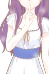  artist_request character_request dress female finger_to_mouth game_cg hand_to_mouth head_out_of_frame long_hair paca_plus pacoproject purple_hair shushing simple_background solo tsukasa_rin white_background white_dress 