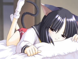  animal_ears black_eyes black_hair buruma cat_ears cat_tail female kashiwagi_kaede kizuato lying on_stomach red_buruma school_uniform serafuku short_hair socks solo tail takano_hayato 