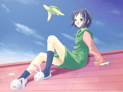  animal_slippers arm_support blue_eyes blue_hair bob_cut bunny_slippers day dress female hood hoodie love_hina maehara_shinobu open_mouth rooftop short_hair sitting sky slippers solo takano_hayato tama_(love_hina) turtle 