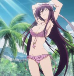  asu_no_yoichi bikini blush breasts female female highres ikaruga_ibuki large_breasts long_hair navel purple_hair screencap solo stitched swimsuit 