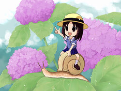  azumanga_daioh&#039;s_school_uniform azumanga_daiou blue_serafuku blue_shirt brown_eyes brown_hair chibi female flower hat hydrangea kasuga_ayumu mini_person minigirl open_mouth pointing riding school_uniform serafuku shirt snail solo summer_uniform takano_hayato 