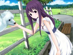  alpaca artist_request brown_eyes character_request cloud dress female fence game_cg grass long_hair looking_at_viewer paca_plus pacoproject purple_hair smile tree trees tsukasa_rin white_dress wind 