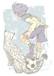  1boy bad_id bad_pixiv_id ball blue_hair commentary_request from_behind hakuren inazuma_eleven_(series) inazuma_eleven_go male_focus snow_leopard soccer_ball soccer_uniform solo sportswear telstar ticktack_chicken yukimura_hyouga 