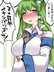  :o albino between_breasts blue_skirt blush breast_hold breasts collared_vest commentary detached_sleeves eyebrows female frog_hair_ornament green_eyes green_hair hair_ornament hammer_(sunset_beach) kochiya_sanae large_breasts long_hair long_sleeves looking_at_viewer neglect_play nose_blush parted_lips red_eyes skirt snake_hair_ornament solo sweatdrop touhou translated upper_body vest white_vest wide_sleeves 