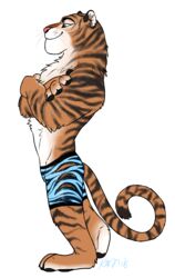  2016 alpha_channel anthro biped bottomwear brown_body brown_fur chest_tuft clothed clothing countershading crossed_arms disney felid fur green_eyes hi_res male mammal muscular muscular_anthro muscular_male pantherine pink_nose shorts signature simple_background smile solo source_request standing stripes tiger tiger_dancer_(zootopia) topless transparent_background tuft unknown_artist whiskers white_body white_fur zootopia zootopia_shorts 