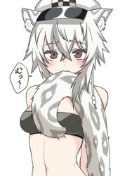  absurdres animal_ear_fluff animal_ears arknights arms_behind_back bandeau bare_shoulders biting biting_own_tail blush breasts cabbie_hat cliffheart_(arknights) commentary_request crossed_bangs female hair_between_eyes hat highres kusonemita leopard_ears leopard_tail looking_at_viewer medium_breasts medium_hair midriff navel sidelocks simple_background snow_leopard_ears snow_leopard_girl snow_leopard_tail solo speech_bubble standing tail translated upper_body white_background white_hair white_hat 