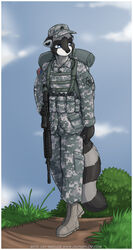  2013 american_flag anthro ar-15 assault_rifle azban backpack biped black_body black_fur black_tail blue_eyes boots border camo camo_print clothed clothing cloud conditional_dnp day detailed_background digital_media_(artwork) dipstick_tail footwear full-length_portrait fur grass grey_tail gun hat headgear headwear jay_naylor m4 male mammal markings military military_uniform multicolored_body multicolored_fur multicolored_tail outside plant portrait procyonid raccoon ranged_weapon rifle ring_(marking) ringed_tail scope sergeant shrub sky solo standing striped_markings striped_tail stripes symbol tail tail_markings text two_tone_body two_tone_fur two_tone_tail uniform united_states_of_america url walking watermark weapon white_body white_border white_fur 