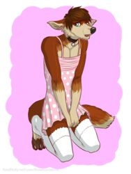  2014 anthro bottomwear canid canine clothed clothing collar crossdressing dirtybird dress embarrassed femboy fox fur legwear looking_at_viewer male mammal shy skirt solo stockings tongue 