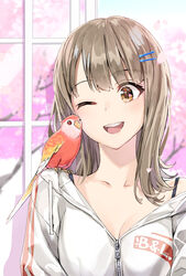  ;d bird blush breasts brown_hair cherry_blossoms cleavage collarbone drawstring female hair_ornament hairclip long_hair long_sleeves looking_to_the_side medium_breasts one_eye_closed open_mouth original parakeet smile solo sweater white_sweater yahako zipper_pull_tab 