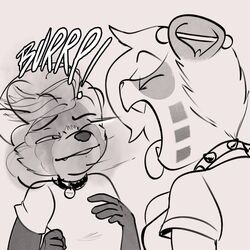  1:1 ailurid anthro biped breb_(tsavo) burp_cloud burping burping_in_face clothed clothing collar digital_media_(artwork) duo ear_piercing emmy_dook female femboy hair male mammal monochrome onomatopoeia open_mouth piercing red_panda simple_background sound_effects squealydealy text white_background 