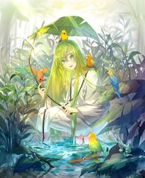  1other :d androgynous bird commentary e_(h798602056) enkidu_(fate) fate/grand_order fate/strange_fake fate_(series) grass green_eyes green_hair head_tilt holding holding_leaf leaf long_hair long_sleeves looking_at_viewer nature outdoors parrot parted_lips plant robe sitting smile solo standing standing_on_liquid sunlight tree very_long_hair water white_robe 