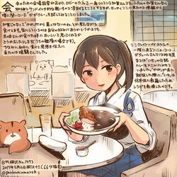  admiral_(kancolle) animal blue_hakama brown_eyes brown_hair colored_pencil_(medium) commentary_request curry curry_rice dated female food hakama hakama_skirt hamster holding holding_plate japanese_clothes kaga_(kancolle) kantai_collection katsu_curry kirisawa_juuzou kirisawa_juuzou_(character) muneate non-human_admiral_(kancolle) nontraditional_miko numbered plate revision rice short_hair side_ponytail sitting skirt smile tasuki traditional_media twitter_username 