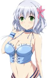  amagi_brilliant_park blue_hair breasts cleavage collar collarbone earrings extraction female flower green_eyes hair_flower hair_ornament jewelry large_breasts looking_at_viewer midriff muse_(amaburi) navel smile solo transparent_background 