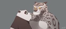  amuriart anthro bear black_body black_fur dreamworks duo eye_contact felid fur giant_panda green_eyes grey_body grey_fur hi_res kung_fu_panda looking_at_another male male/male mammal master_po_ping pantherine simple_background smile snow_leopard staring_into_eyes surprise tai_lung_(kung_fu_panda) white_body white_fur 