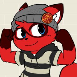  1:1 8chan anthro beanie black_nose blue_eyes clothed clothing english_text fur furgonomics hat headgear headwear mammal mascot nate_(8chan) oob procyonid raccoon red_body red_fur smile solo text 