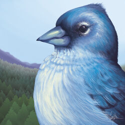  1:1 2017 ambiguous_feral ambiguous_gender avian beady_eyes beak bird black_eyes blue_beak blue_body blue_feathers blue_sky bust_portrait caymartworks day detailed detailed_background detailed_feathers dipstick_beak eye_markings feathered_wings feathers feral finch folded_wings forest hi_res markings mountain nature oscine outside passerine plant portrait side_view sky solo tenerife_blue_chaffinch tree true_finch white_body white_feathers wings 