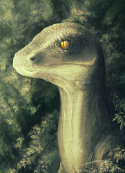  2014 absurd_res ambiguous_feral ambiguous_gender bust_portrait caymartworks detailed detailed_eyes detailed_scales digital_media_(artwork) digital_painting_(artwork) dinosaur dromaeosaurid extinct feral glistening glistening_eyes hi_res leaf long_mouth long_neck nature nature_background orange_eyes plant portrait prehistoric_species pupils redraw reptile restricted_palette scales scalie shrub side_view slit_pupils solo tan_body tan_scales theropod velociraptor 