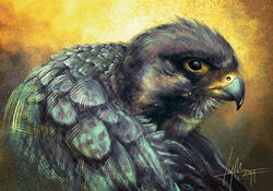  2014 action_pose adobe_photoshop_(artwork) ambiguous_feral ambiguous_gender avian beady_eyes beak bird black_eyes caymartworks detailed detailed_feathers digital_media_(artwork) digital_painting_(artwork) falcon falconid feathered_wings feathers feral flapping_wings glistening glistening_eyes gradient_background hi_res multicolored_beak portrait pose side_view simple_background simulated_traditional_(artwork) solo speckled two_tone_beak wings 