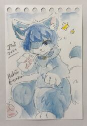  4_fingers absurd_res anthro blue_body blue_collar blue_eyes blue_fur blue_hair canid canine collar fingers fox fur hair hi_res hoshino kemono looking_at_viewer male mammal mikey_(mikey_fox) one_eye_closed paw_pose paws pose solo star traditional_media_(artwork) watercolor_(artwork) wink winking_at_viewer 