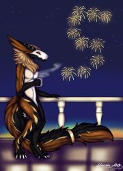  accessory anthro balcony beverage coffee container cup fireworks hi_res hunamarts markings night radlin solo tail 