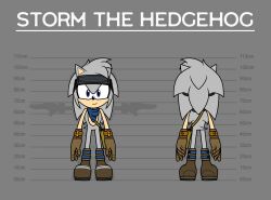  absurd_res anthro bandage blue_eyes boots clothing english_text eulipotyphlan eyewear fan_character footwear goggles grey_body hedgehog hi_res looking_at_viewer male mammal realdash satchel sega shoes simple_background slicked_back_hair smile solo sonic_the_hedgehog_(series) standing storm_the_hedgehog_(realdash) tail tan_arms text 