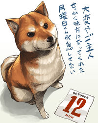  aaru_(tenrake_chaya) animal animal_focus black_eyes brown_fur calendar_(object) canine closed_mouth commentary_request from_above full_body looking_at_viewer no_humans october shiba_inu sitting text_focus translated whiskers white_fur 