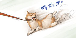  :d ^_^ aaru_(tenrake_chaya) animal animal_collar animal_focus buckle canine closed_eyes collar commentary_request dog_lead full_body motion_lines no_humans open_mouth shiba_inu shiba_squish smile smoke translated whiskers 