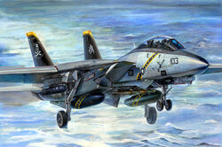  2boys aerial_bomb aircraft airplane commentary_request drop_tank f-14_tomcat fighter_jet jet jolly_roger koizumi_kazuaki_production landing landing_gear laser_guided_bomb military military_vehicle multiple_boys ocean skull_and_crossbones united_states_navy vehicle_focus 