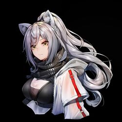  absurdres animal_ear_fluff animal_ears arknights black_background black_scarf breasts cat_ears cropped_torso female grey_hair highres hood hooded_jacket iku!_iku!! jacket large_breasts long_hair looking_at_viewer open_clothes open_jacket ponytail scarf schwarz_(arknights) simple_background solo upper_body white_jacket yellow_eyes 