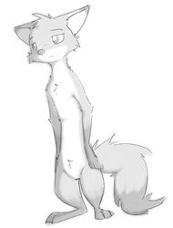  2018 anthro canid canine cheek_tuft chest_tuft facial_tuft featureless_crotch fox fur head_tuft hi_res mammal monochrome nude rinehart_nye_(wynn) simple_background solo tuft white_background zhanbow 