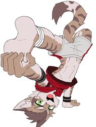  5_toes abs absurd_res anthro athletic athletic_anthro athletic_male barefoot countershade_feet countershading feet felid feline hi_res kemono leopard_cat male mammal manadezimon nekojishi plantigrade prionailurus shu-chi soles solo studio_klondike toes upside-down 