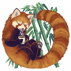  1:1 ailurid ambiguous_gender bamboo beverage closed_eyes coffee faellin feral grey_pawpads inner_ear_fluff long_tail mammal pawpads red_panda smile solo tail tuft 