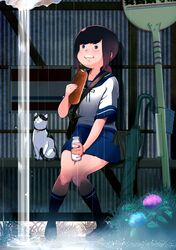  black_hair blue_eyes bottle bread bus_stop commentary_request eating feline female food food_on_face fubuki_(kancolle) kantai_collection low_ponytail milk milk_bottle milk_mustache ponytail rain school_uniform serafuku short_hair sitting takemaru08 taking_shelter umbrella 